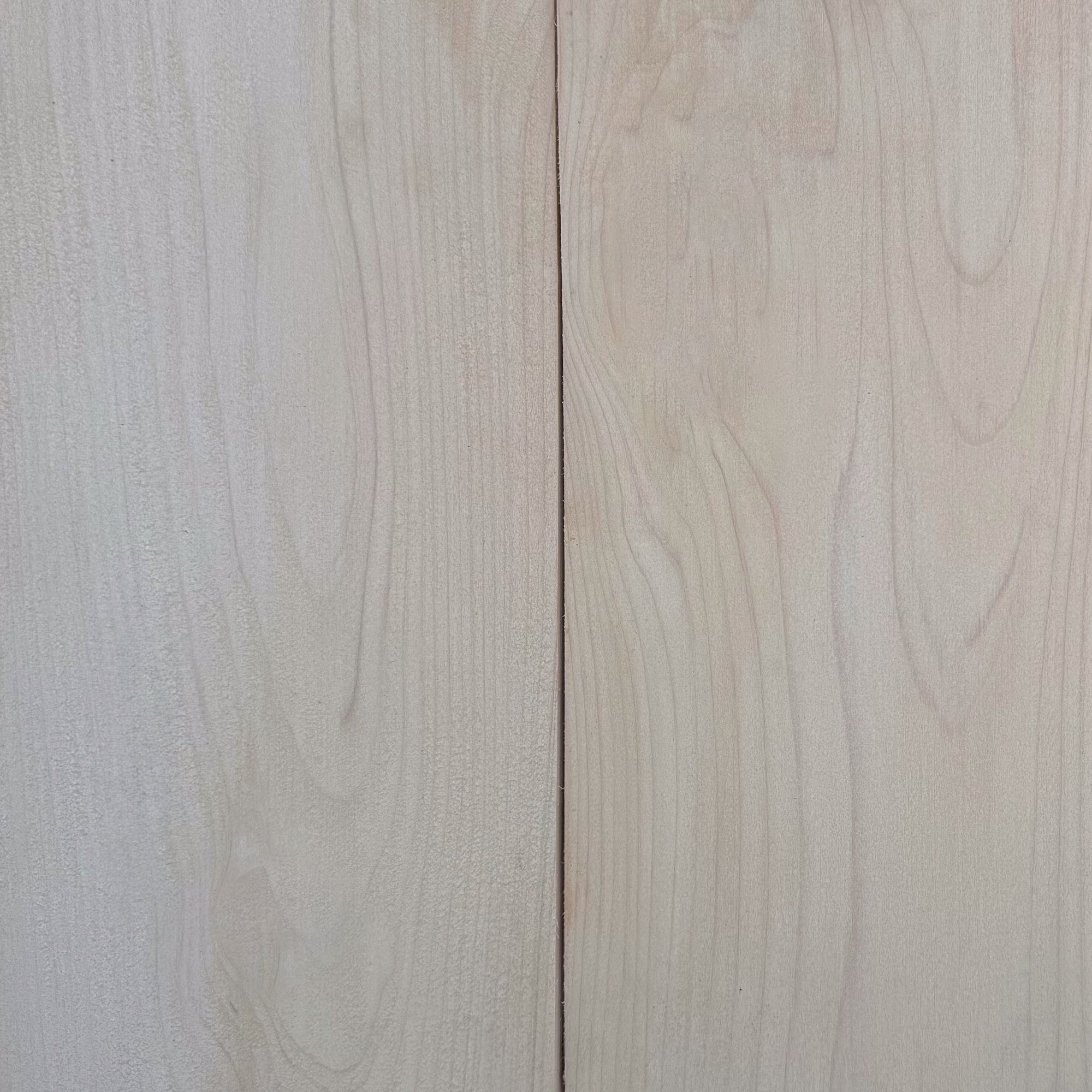 SNOW DRIFT - White Cedar