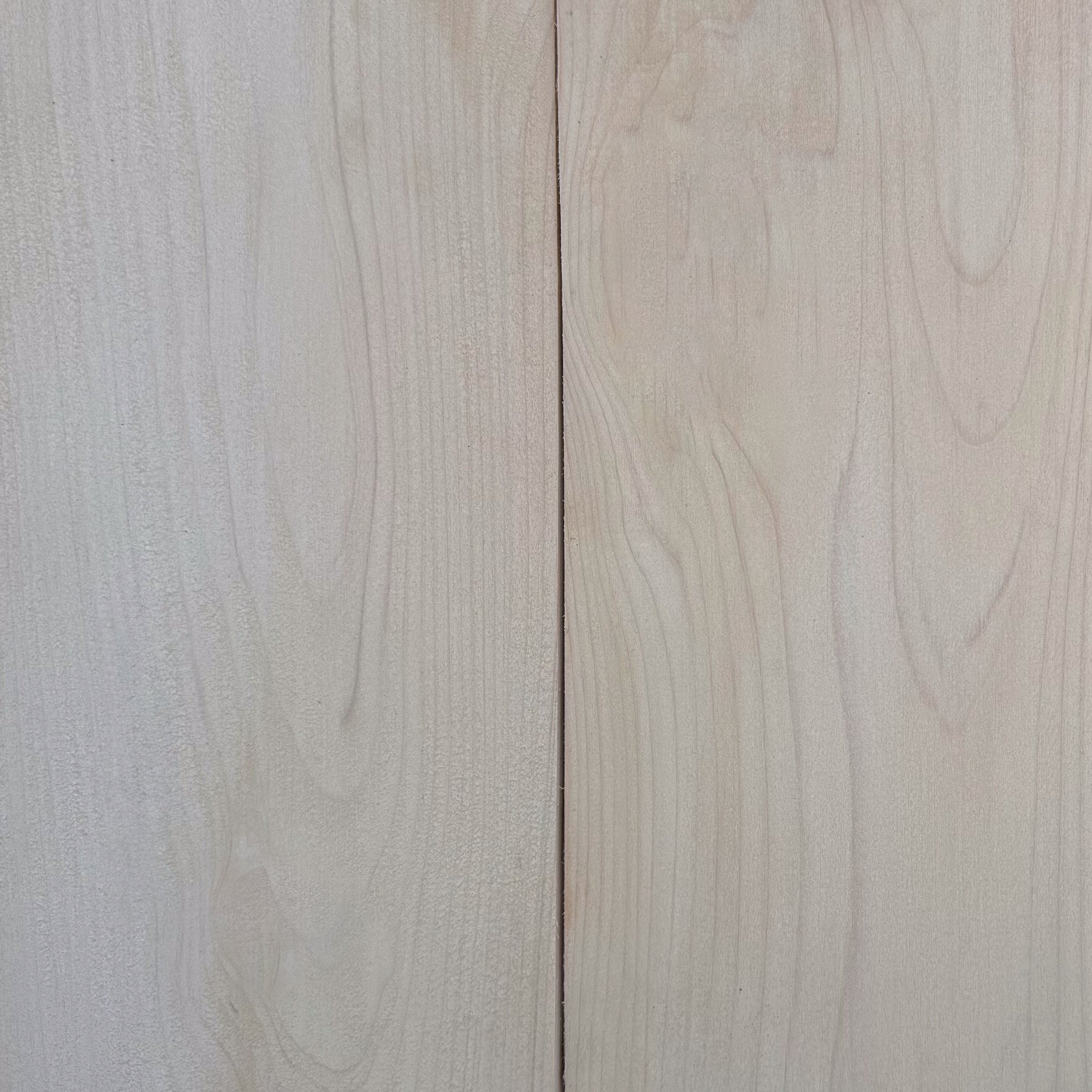 SNOW DRIFT - White Cedar