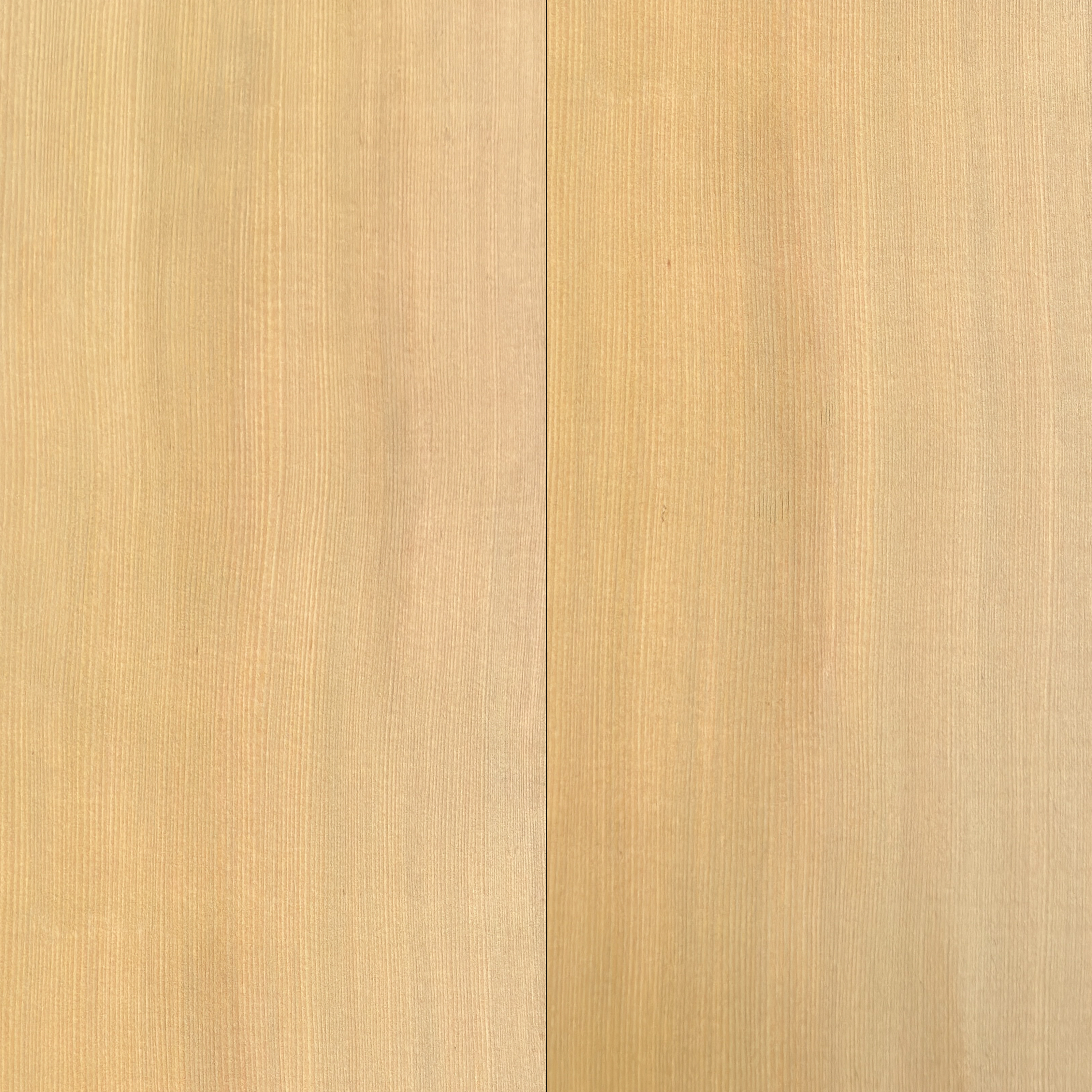 PONDEROSA - CVG Hemlock