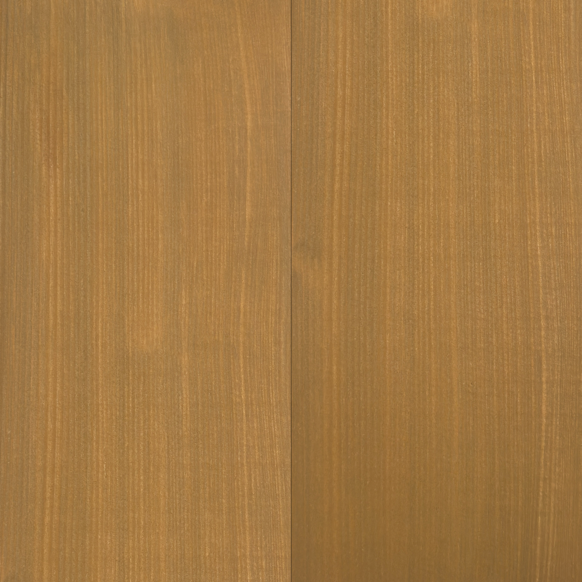 SAGE - CVG Hemlock